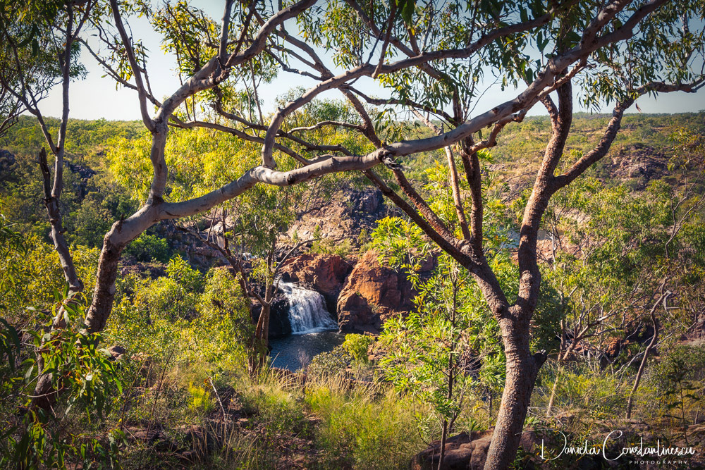 Edith Falls framed between trees, Katherine, Australia